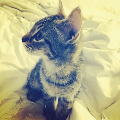 Profile Picture of Jordan Dusek (@Jarrdinn) on Twitter