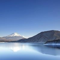 Profile Picture of Lai Lok Yin (@lai-lok-yin) on Quora