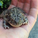 Profile Picture of Shawn Bolan (@shawn.bolan) on Instagram