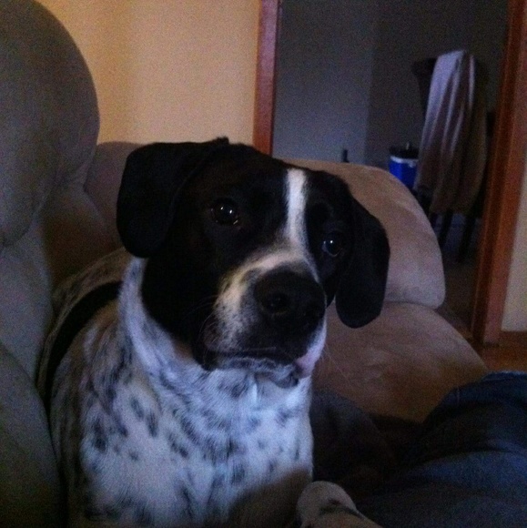 Stewart Mackness - Poshmark Profile Picture of Stewart Mackness (@moosefondler) on Poshmark