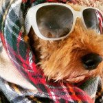 Profile Picture of Theodore (@teddyfraser) on Instagram