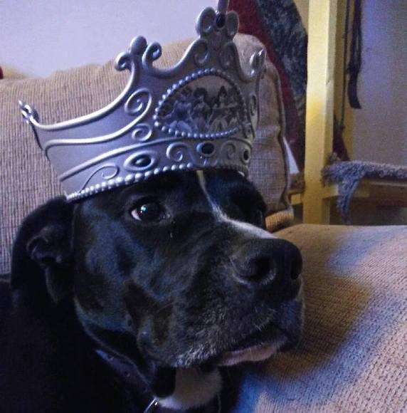 Profile Picture of Tristan Hicks (@tristan0229) on Poshmark