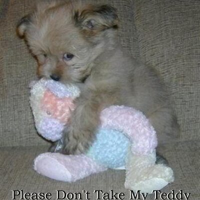 Profile Picture of Robin Spiker (@robin_spiker) on Twitter