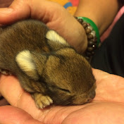 Profile Picture of Joseph Horton (@hyperRealityFilms) on Youtube