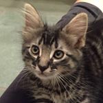 Profile Picture of Deborah Haley (@dl_haley) on Instagram