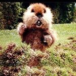 Profile Picture of Jeffrey Muhlbauer (@jeffreymuhlbauer) on Instagram