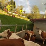 Profile Picture of Georg Rainer (@rainer.ge) on Instagram