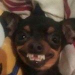 Profile Picture of Léon Stevenson (@leon_stevenson_98) on Instagram