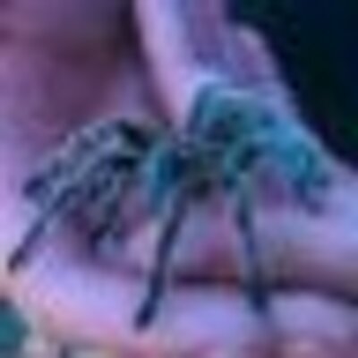 Profile Picture of Leah Anderson (@LeahJune) on Twitter