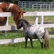 Profile Picture of Nancy Hunt (@nancyhunt4085) on Youtube