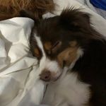 Profile Picture of Leah McFarland (@leahmcfarland921) on Instagram