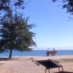 Profile Picture of Emily Zhang (@emz911) on Flickr