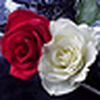 Profile Picture of amlac (@amlac) on Flickr