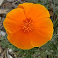 Profile Picture of Nathan Sweet (@nathan-sweet-36) on Quora