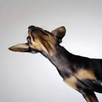 Profile Picture of Lucille_Diaz (@lucille_diazd) on Instagram