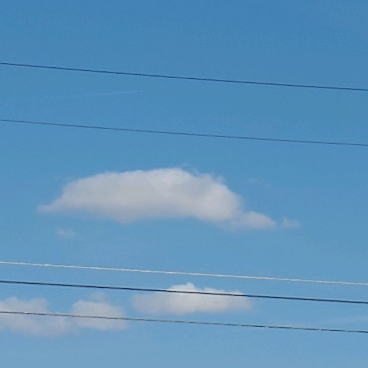 Profile Picture of lisafrysinger (@lisafrysinger) on Tiktok