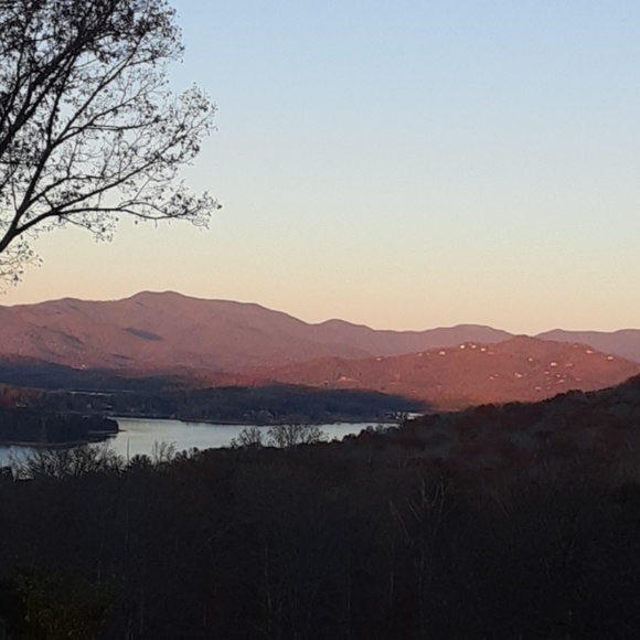 Addison Dimarco - Poshmark Profile Picture of Addison Dimarco (@addisondimarco) on Poshmark