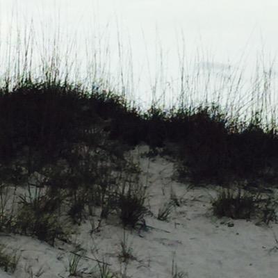 Profile Picture of Michael Cardarelli (@micpcar) on Twitter