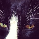 Profile Picture of Joseph Sabala (@forbakhers) on Instagram