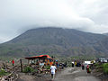 Profile Picture of Disaster tourismon Wikipedia
