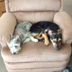 Profile Picture of Jason Chimchirian (@jc_chimchirian) on Instagram