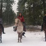 Profile Picture of Sherrie Acevedo (@sherrie.acevedo) on Instagram