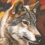 Profile Picture of Martin Kyle-milward (@mkmilward) on Flickr