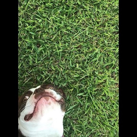 Profile Picture of Christyna Bruzzone (@cbruzzone) on Poshmark