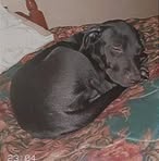 Profile Picture of Matt Kelley (@matt.kelley.714655) on Facebook