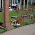 Profile Picture of meredith snider (@snider15286ojuh) on Instagram