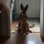 Profile Picture of Sherry Lynn Oswald (@sherryoswald) on Instagram