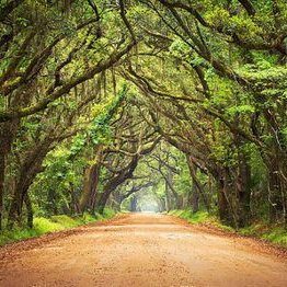 Profile Picture of Michael Otaro (@otaro_michael) on Twitter