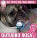 Profile Picture of Lolla Linda (@lolla.linda.545) on Facebook