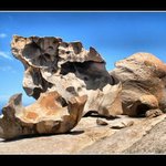 Profile Picture of Reginald Bragg (@reginaldbragg) on Instagram