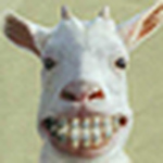 Profile Picture of Robert Orr (@Bob the courier) on Flickr