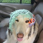 Profile Picture of Stacy Schulz (@stacy.schulz) on Instagram