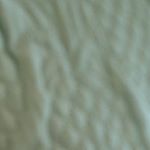 Profile Picture of amber.swanner.spam (@amber.swanner.spam) on Instagram