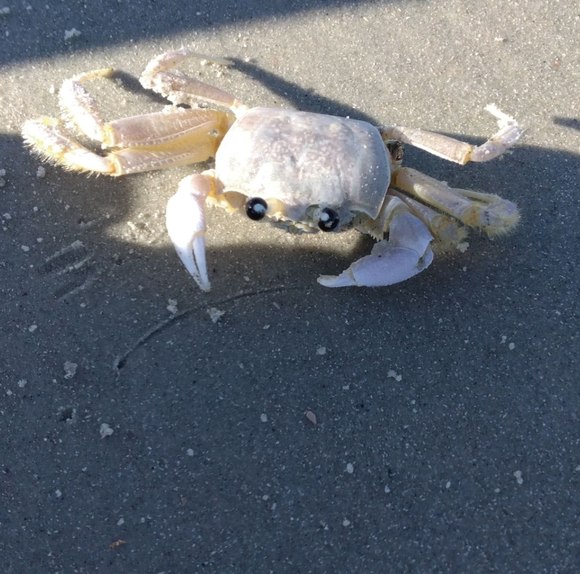 Profile Picture of Weston Marchbanks (@messywessy5) on Poshmark