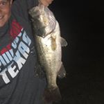 Profile Picture of Andrew Good (@fishing_grinder) on Instagram