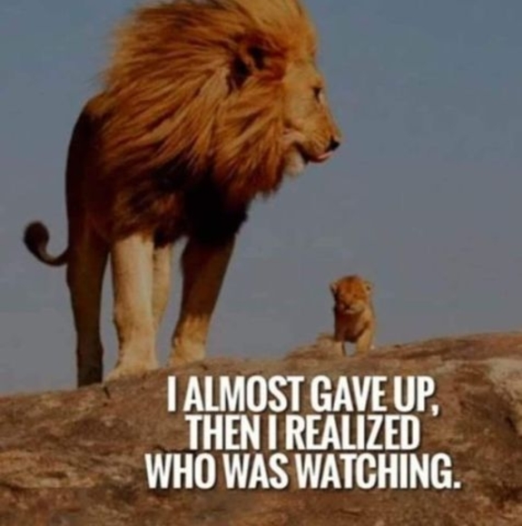 Profile Picture of Denise Clay (@dfmrs) on Poshmark