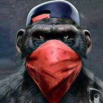 Profile Picture of dangrider (@dangrider) on Instagram