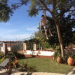 Profile Picture of Chris Ricketts (@sickcrickmcrick) on Instagram