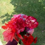 Profile Picture of 😂Emmanuel 😂 (@bryan.master.of.godzilla) on Instagram