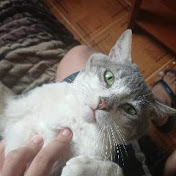 Profile Picture of Mark Esquivel (@mar-o8s8d) on Youtube