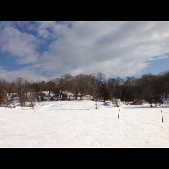 Profile Picture of Dawn Breda (@dawnbreda) on Poshmark