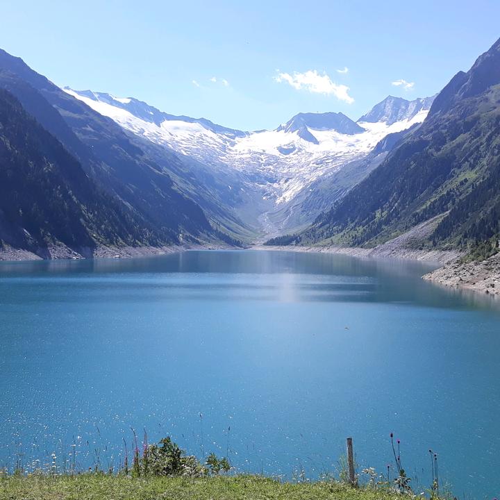 Profile Picture of Adrian Palme (@adrianpalme) on Tiktok