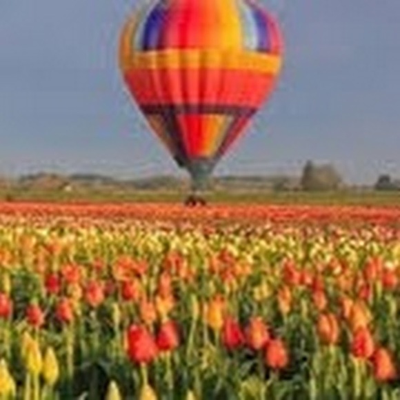 Profile Picture of Christina Carlini (@lunarlogic) on Poshmark