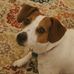 Profile Picture of Bailey Hasty (@bailey.hasty.1) on Facebook