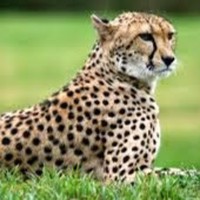 Profile Picture of David Kennon (@david-kennon-5) on Quora