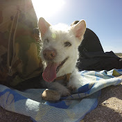 Profile Picture of Patrick Perrone (@patrickperrone5588) on Youtube